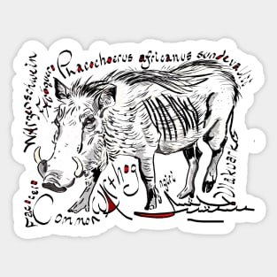 Warthog, Vlakvark Sticker